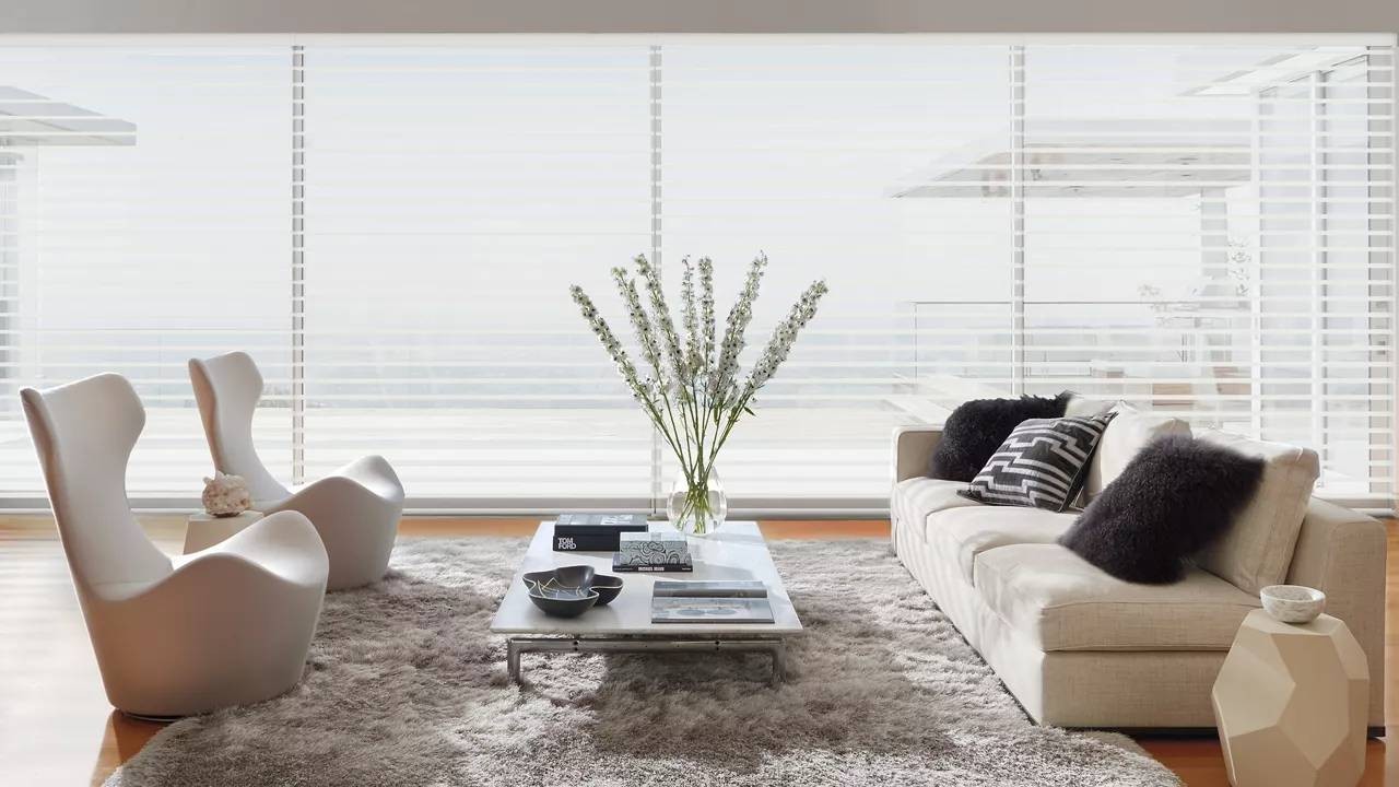 Hunter Douglas Shades filtering light into an Arizona living room.